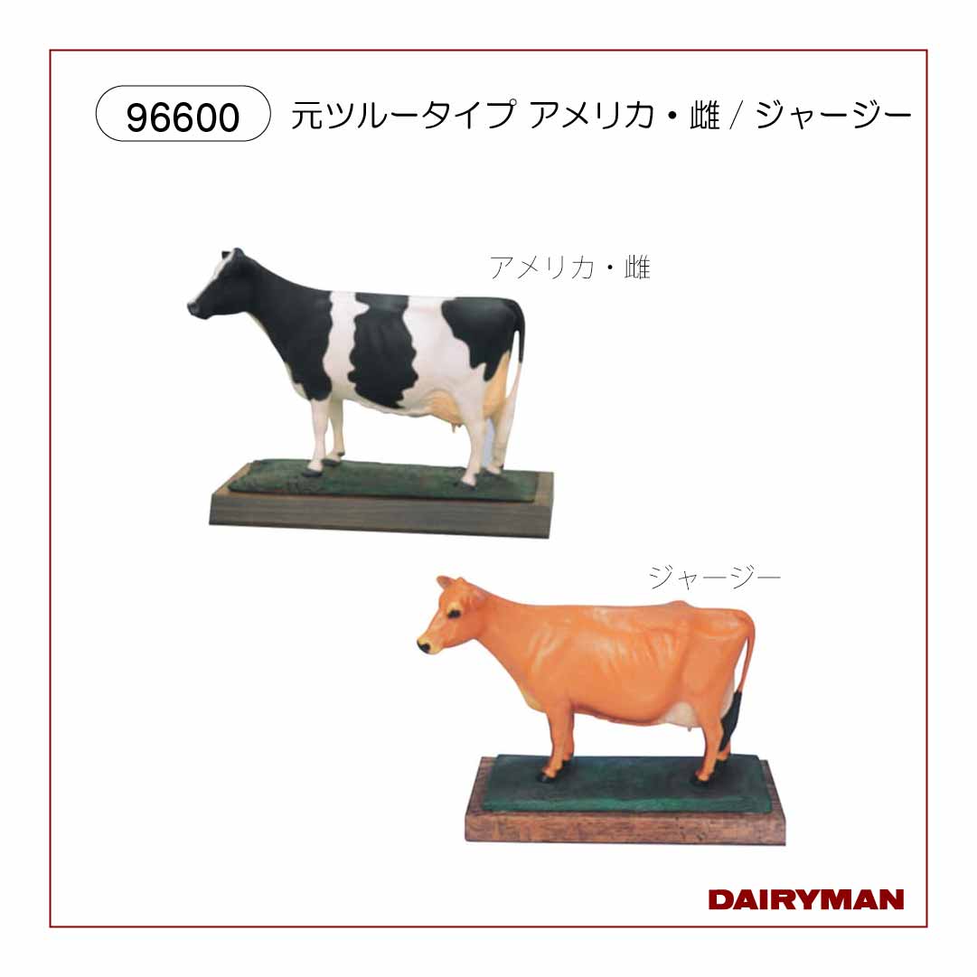 雑貨・その他｜デーリィマン社